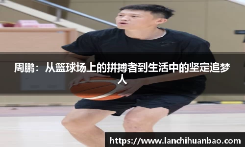 足球直播免费高清直播